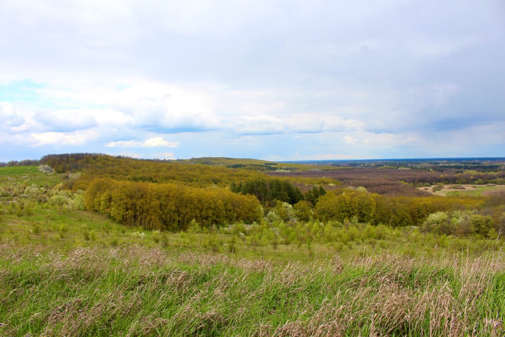 img 0170 img 0170