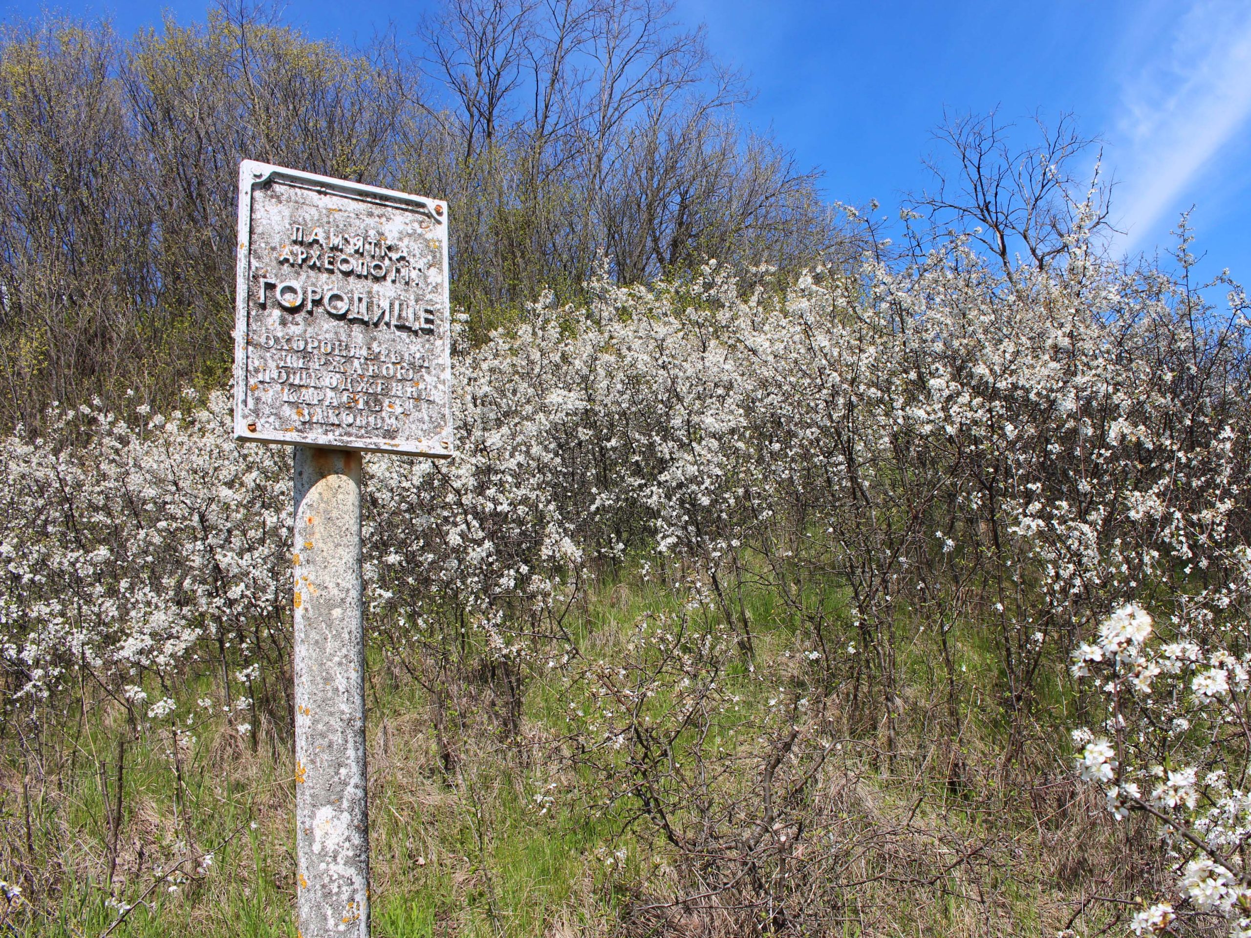 img 0281 4x3
